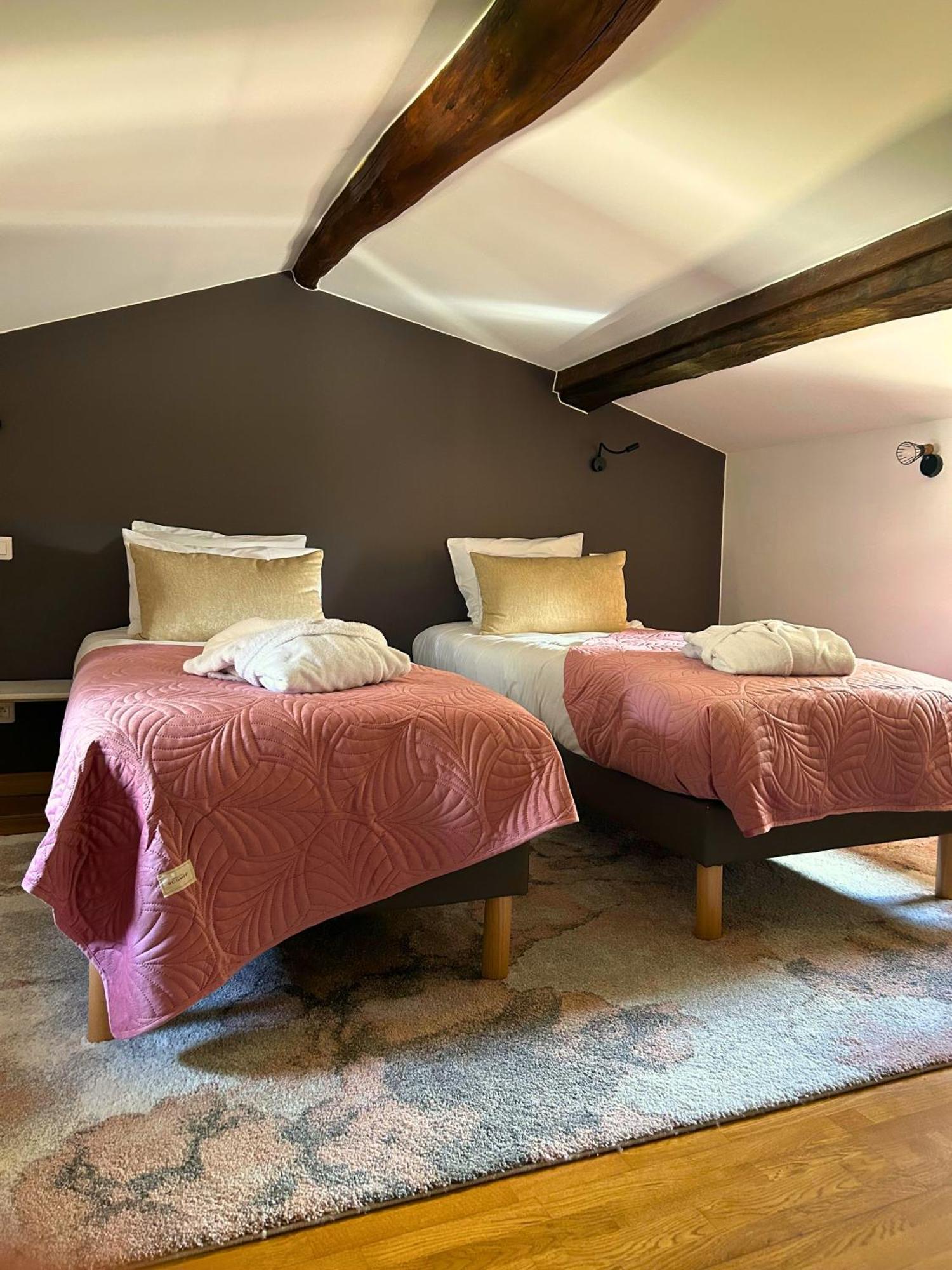 Le Domaine De Gorneton Bed & Breakfast Chasse-sur-Rhone Exterior photo